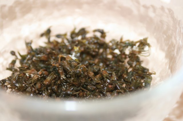 簡単レベル１ シソ 紫蘇 の実の塩漬けのレシピ アツアツ野菜料理でメタボを焼き尽くせ 簡単野菜レシピ